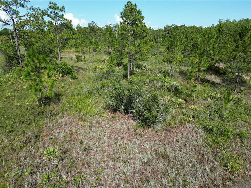 For Sale: $299,000 (4.34 acres)