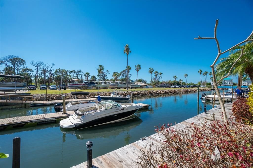 出租: $3,500 (3 贝兹, 3 浴室, 1735 平方英尺)