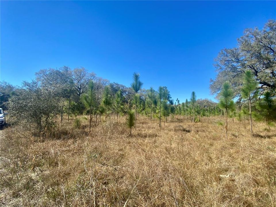 На продажу: $465,000 (20.00 acres)