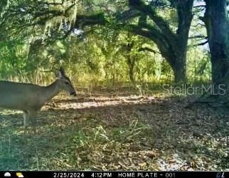 На продажу: $465,000 (20.00 acres)