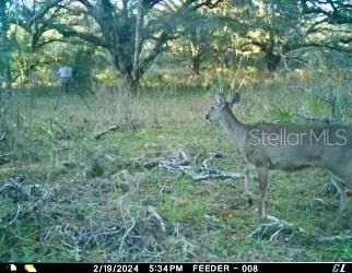 На продажу: $465,000 (20.00 acres)