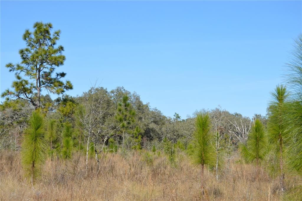 На продажу: $465,000 (20.00 acres)