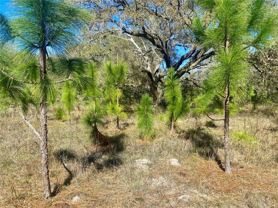 На продажу: $465,000 (20.00 acres)