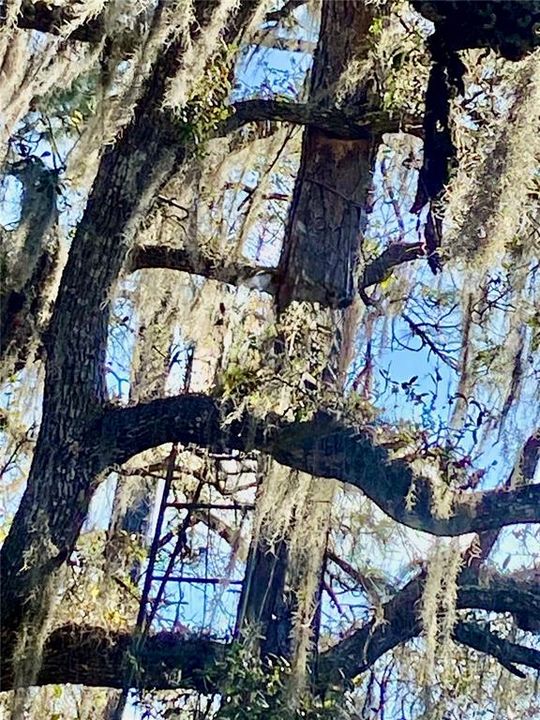 На продажу: $465,000 (20.00 acres)