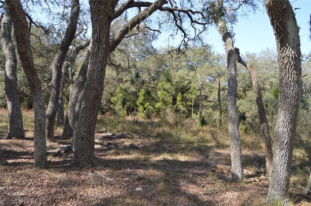 На продажу: $465,000 (20.00 acres)