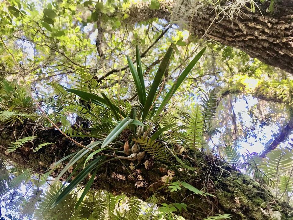 На продажу: $465,000 (20.00 acres)