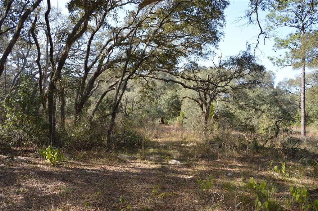 На продажу: $465,000 (20.00 acres)