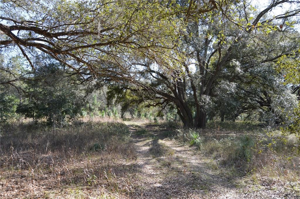 На продажу: $465,000 (20.00 acres)