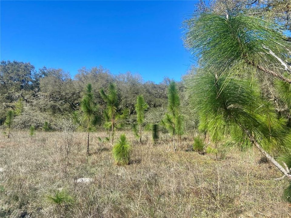 На продажу: $465,000 (20.00 acres)