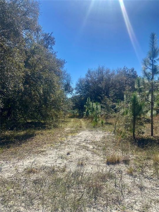 На продажу: $465,000 (20.00 acres)