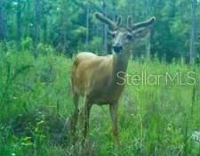 На продажу: $465,000 (20.00 acres)