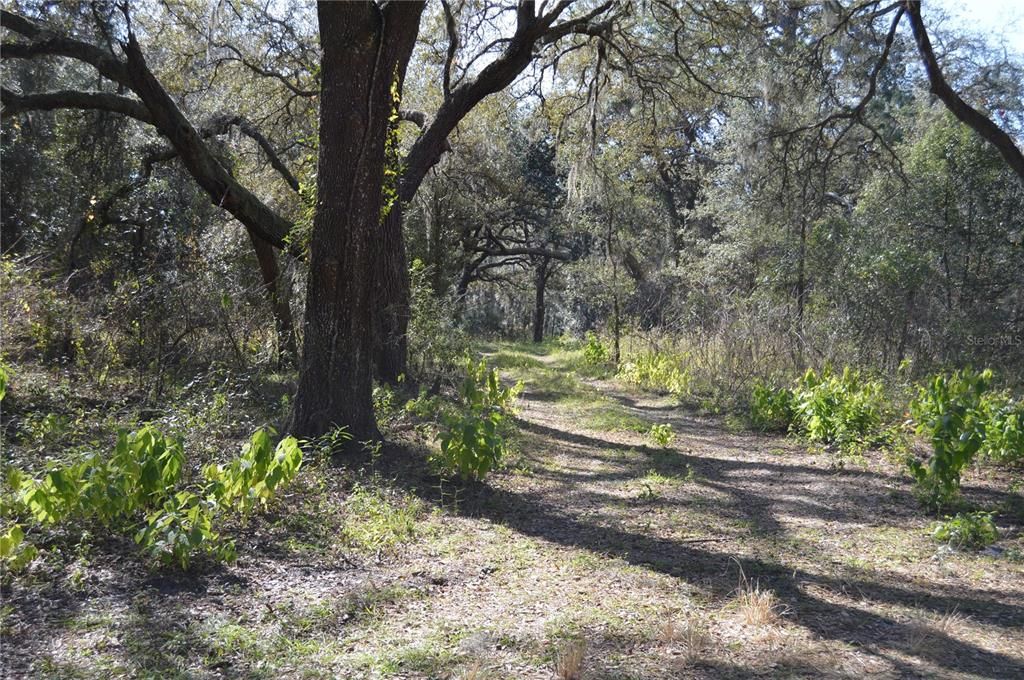 На продажу: $465,000 (20.00 acres)