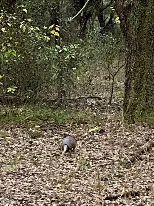 На продажу: $465,000 (20.00 acres)