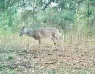 На продажу: $465,000 (20.00 acres)