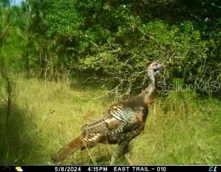 На продажу: $465,000 (20.00 acres)