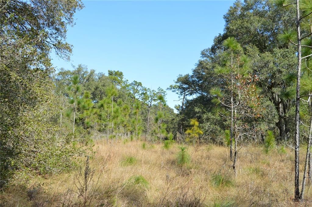 На продажу: $465,000 (20.00 acres)