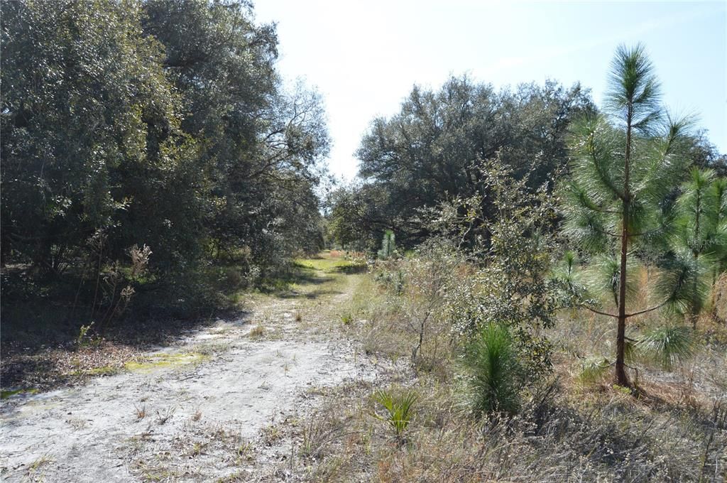 На продажу: $465,000 (20.00 acres)