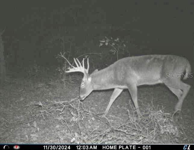 На продажу: $465,000 (20.00 acres)