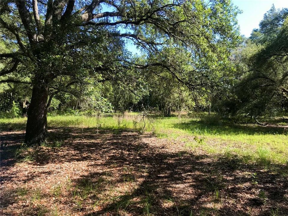 На продажу: $465,000 (20.00 acres)