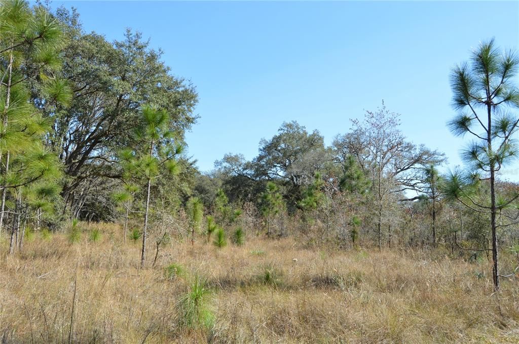 На продажу: $465,000 (20.00 acres)