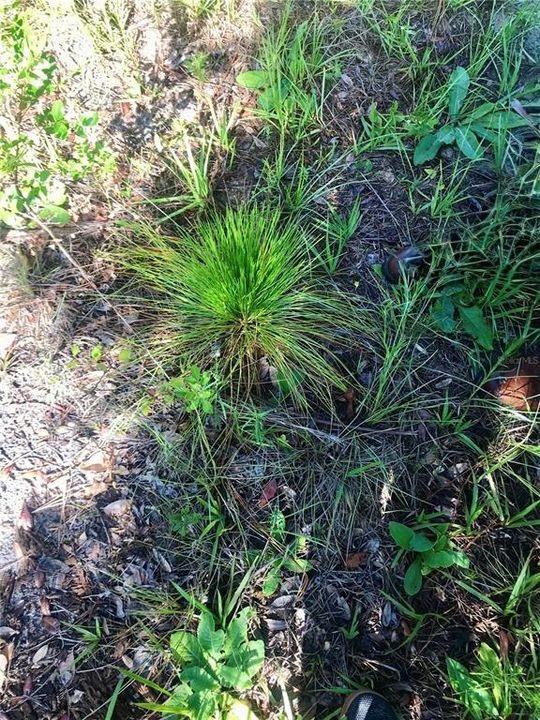 На продажу: $465,000 (20.00 acres)