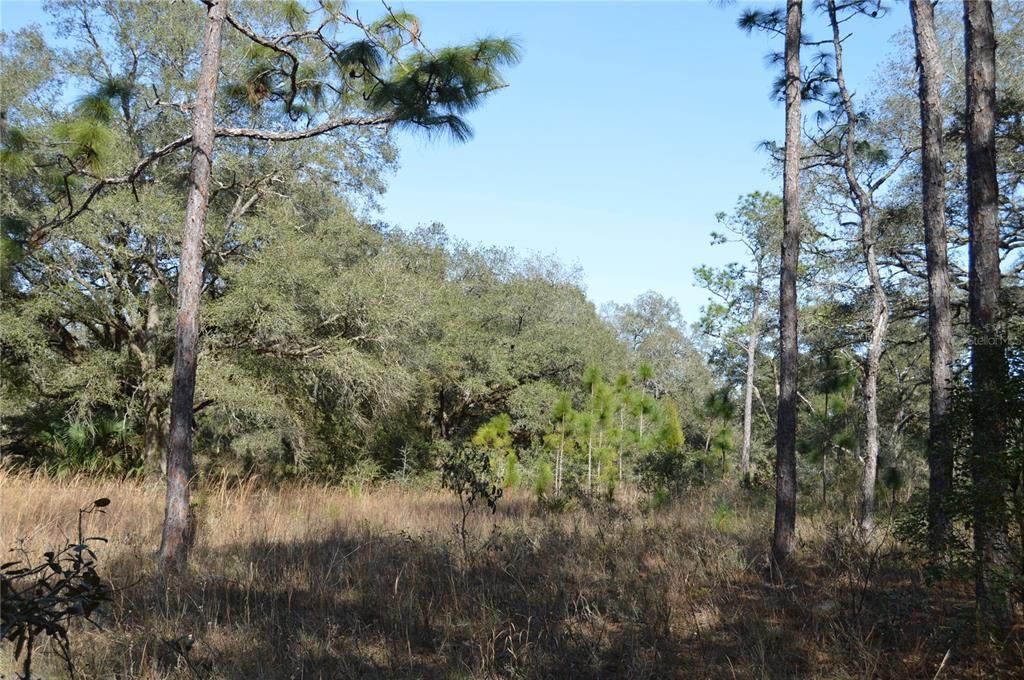 На продажу: $465,000 (20.00 acres)