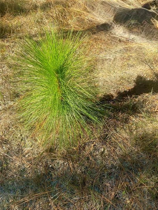 На продажу: $465,000 (20.00 acres)