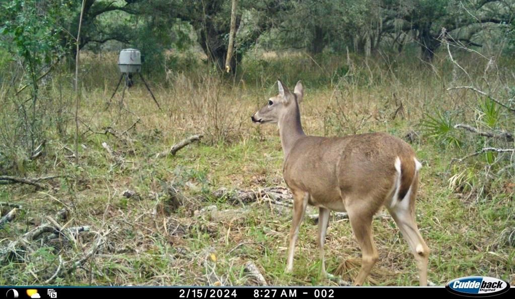 На продажу: $465,000 (20.00 acres)