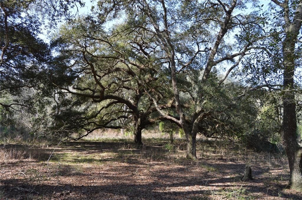 На продажу: $465,000 (20.00 acres)