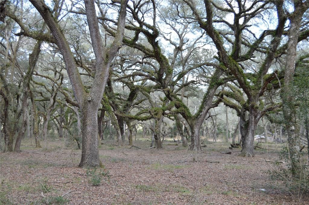 На продажу: $465,000 (20.00 acres)