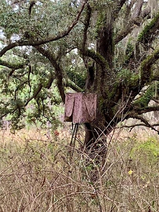 На продажу: $465,000 (20.00 acres)