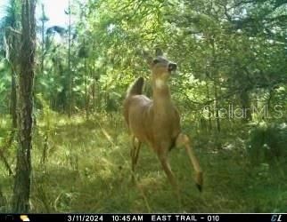 На продажу: $465,000 (20.00 acres)