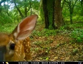 На продажу: $465,000 (20.00 acres)