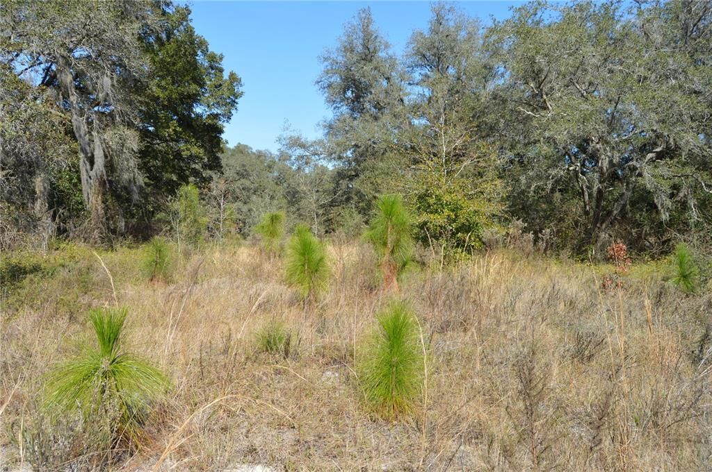 На продажу: $465,000 (20.00 acres)