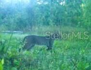 На продажу: $465,000 (20.00 acres)