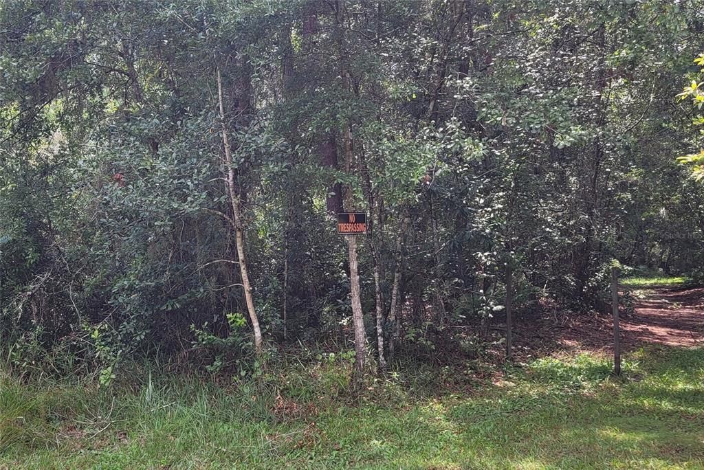 最近售出: $35,000 (0.32 acres)