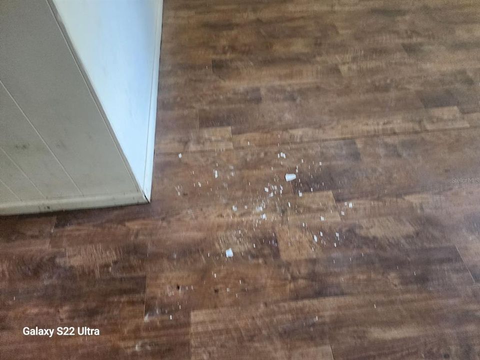 For Rent: $1,350 (2 beds, 1 baths, 900 Square Feet)