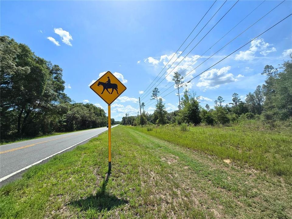 合同活跃: $129,400 (4.09 acres)