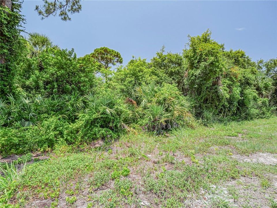 For Sale: $675,000 (3.93 acres)