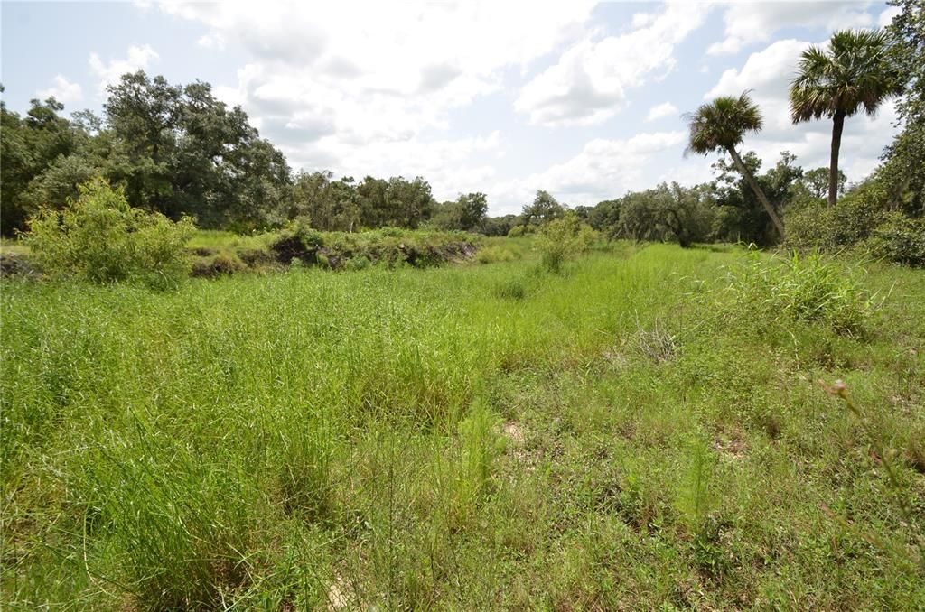 待售: $585,000 (2 贝兹, 1 浴室, 660 平方英尺)