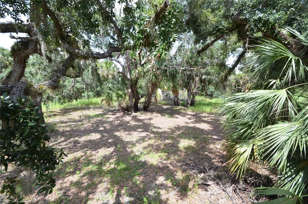 待售: $585,000 (2 贝兹, 1 浴室, 660 平方英尺)