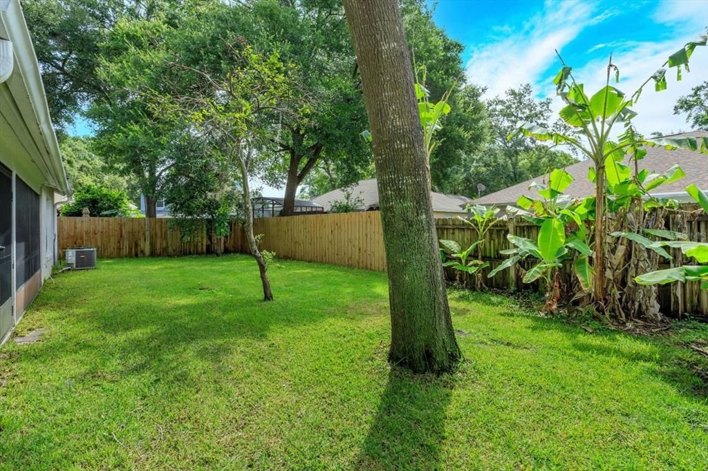 Activo con contrato: $429,000 (4 camas, 3 baños, 2023 Pies cuadrados)