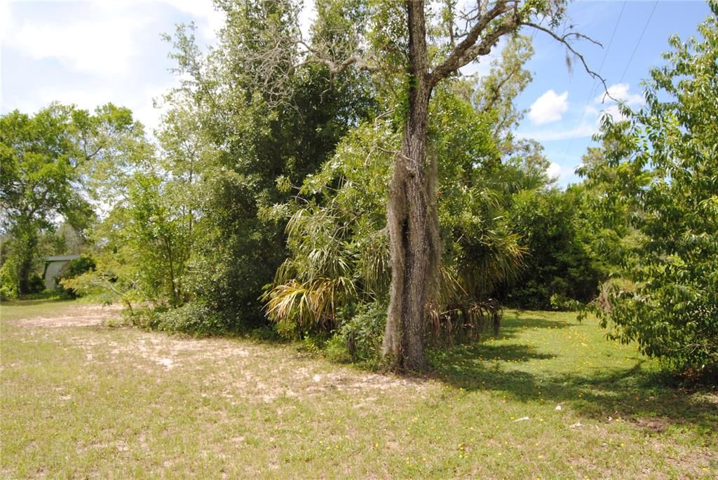 For Sale: $125,000 (3 beds, 2 baths, 924 Square Feet)