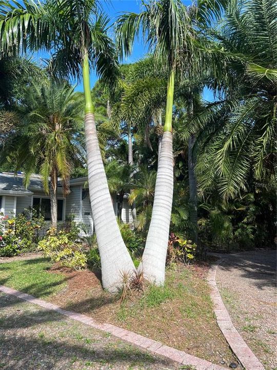 Activo con contrato: $229,900 (3 camas, 2 baños, 1366 Pies cuadrados)