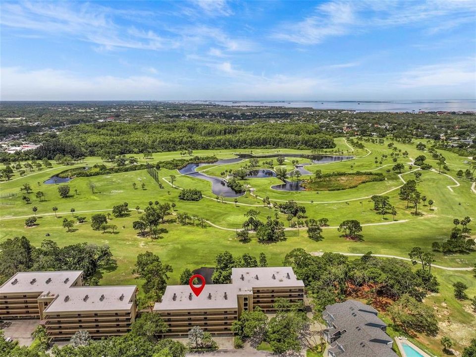 出租: $2,400 (2 贝兹, 2 浴室, 1125 平方英尺)