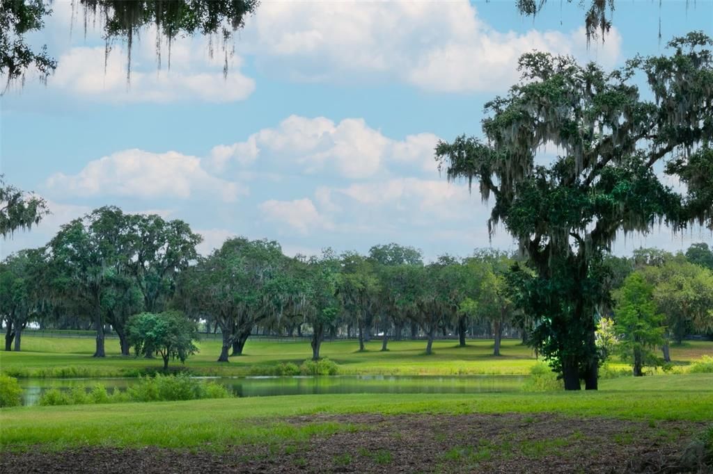 На продажу: $1,575,000 (28.55 acres)