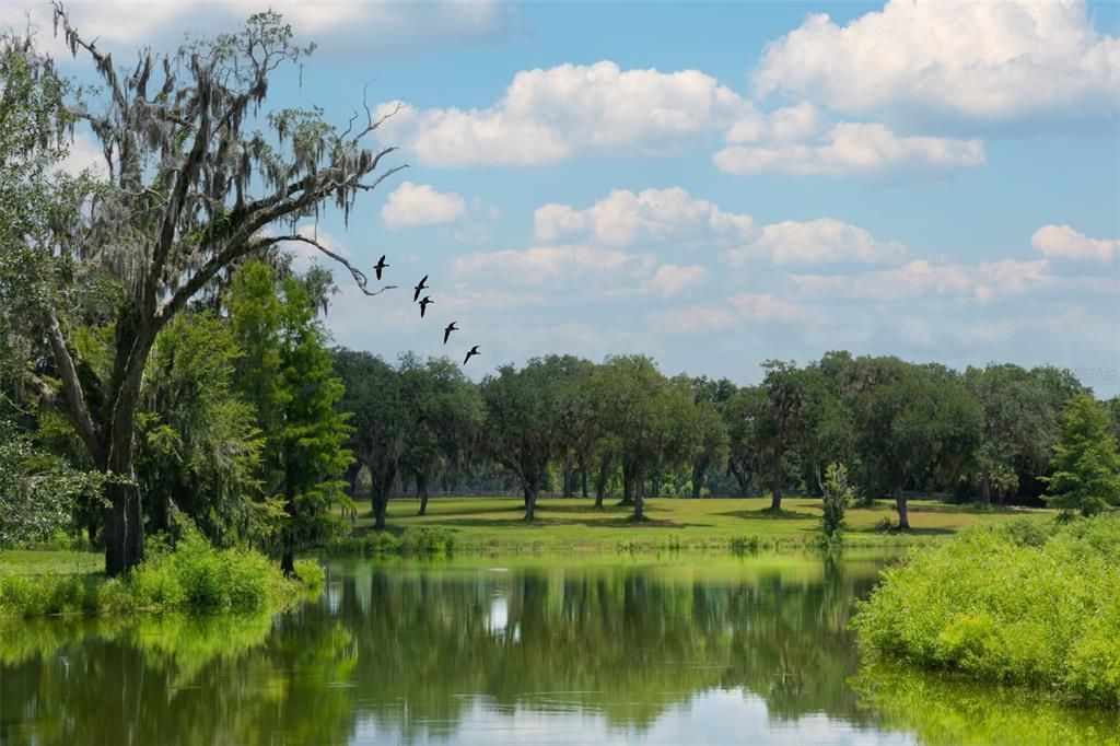 На продажу: $1,575,000 (28.55 acres)