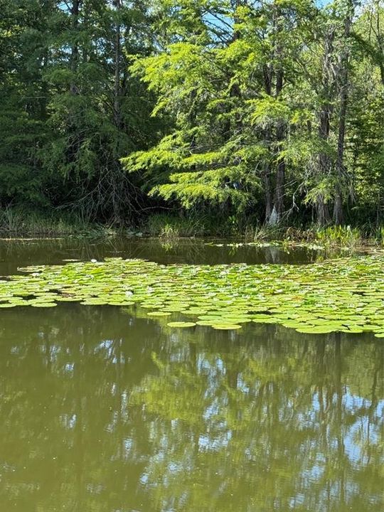 En Venta: $64,995 (0.75 acres)