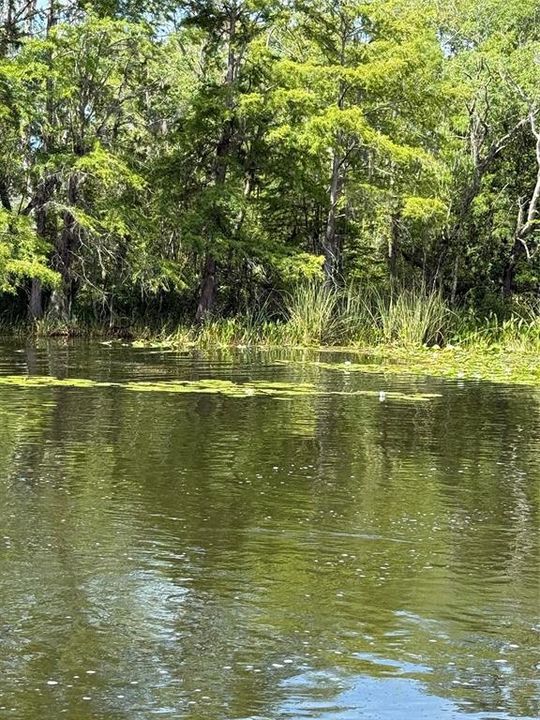 En Venta: $64,995 (0.75 acres)