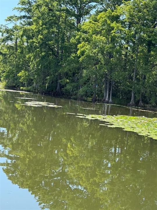 En Venta: $64,995 (0.75 acres)